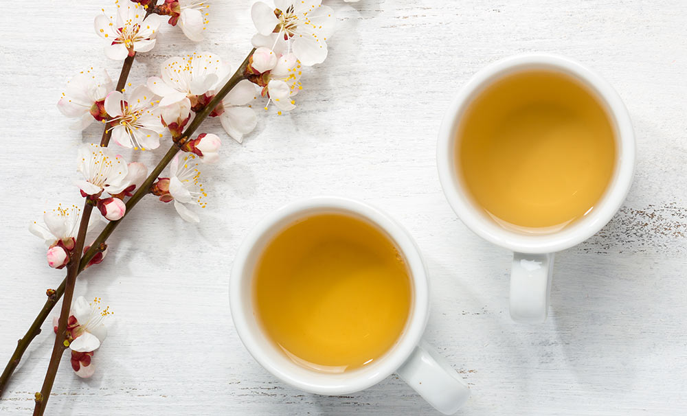 CÔNG TY TNHH CÔNG NGHỆ SINH DƯỢC H-T